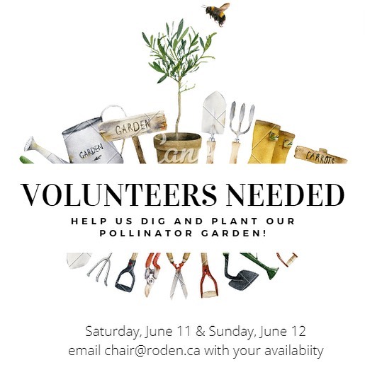 We need your help! This weekend, Roden School Council needs volunteers to do some physical labour to help prepare for the pollinator garden. Come for an hour or stay all day, one day or both days — we are grateful for any time you have to spare. Email chair@roden.ca with your interest and availability. 🌱 🙏🏽